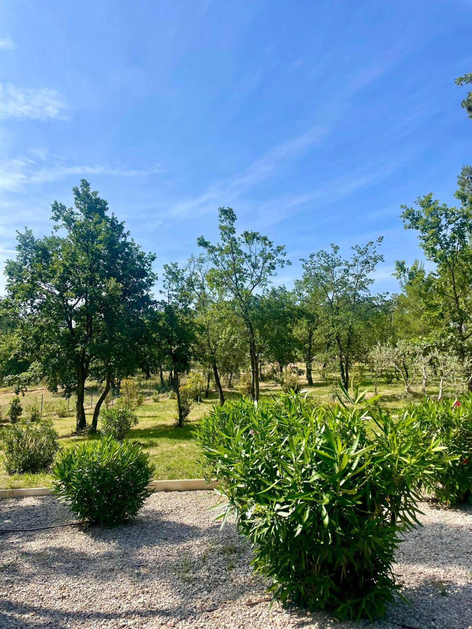 Superbe Villa Seillans La Grande Bastide Avec Piscine, Jardin, Climatisation Et Salle De Sport Exterior foto